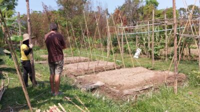 Chinampas at Daruma, a permaculture designed educational ecovillage in Thailand