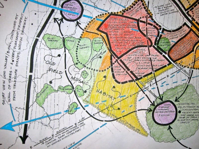 Hand drawn permaculture design plan with coloured zoning for prime patch, shady patch, cold field and habitat areas