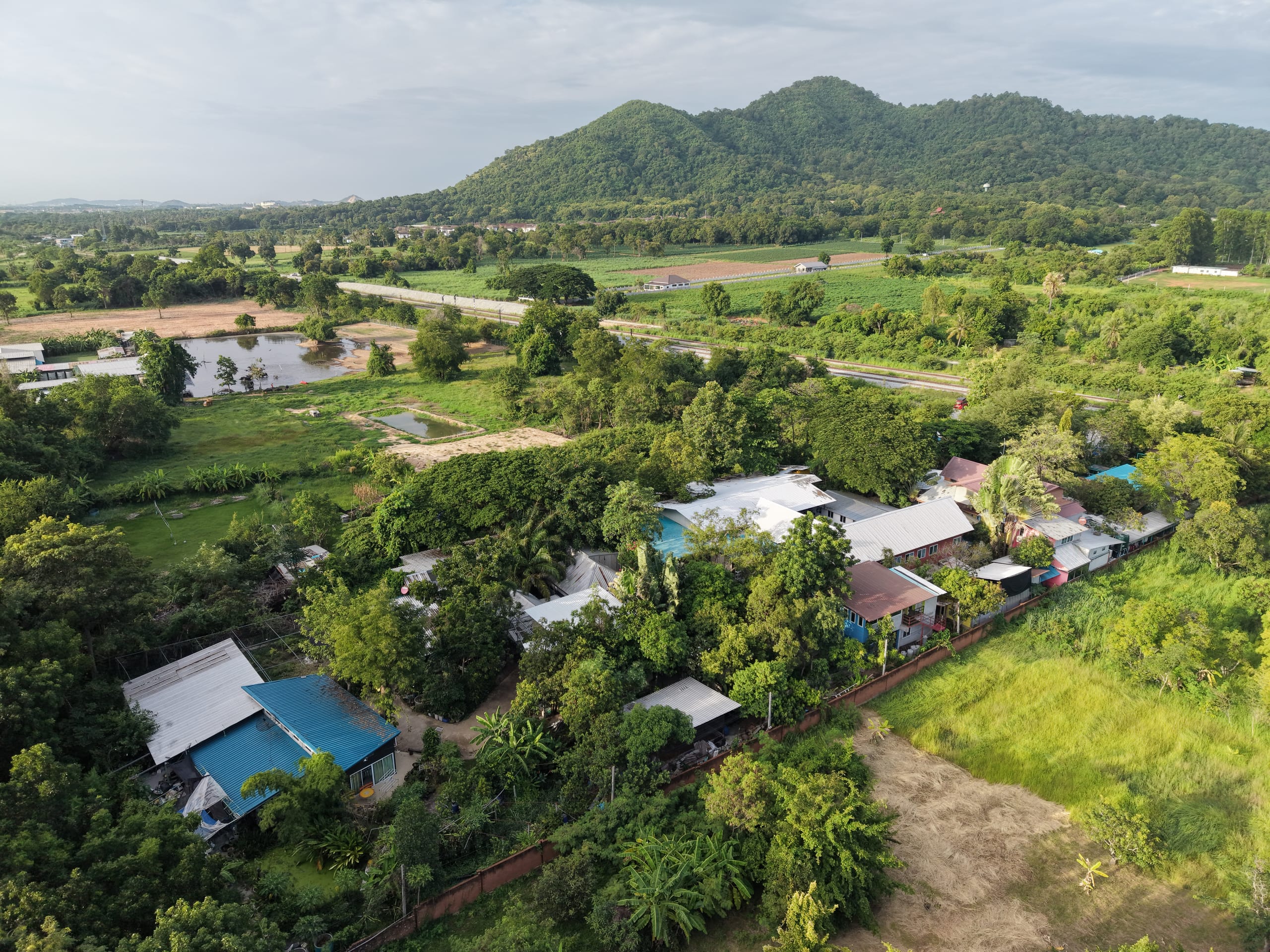 Aerial view of the Daruma permaculture campus in Bang Phra, a forested hillside behind metal-roofed buildings with a rooftop pool and green rice paddies